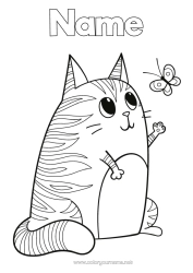 Free colouring Cute Cat Butterfly Animal Insects Dogs and cats