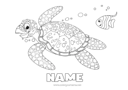 Free colouring Tortoise Summer Sea Animal Fish Marine or aquatic animals Reptiles Sea turtle