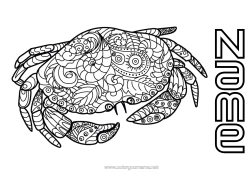 Free colouring Calm and zen Mandala Summer Animal Crab Zentangle Anti-stress Marine or aquatic animals