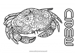 Free drawing Calm and zen Mandala Summer Animal Crab Zentangle Antistress Marine or aquatic animals