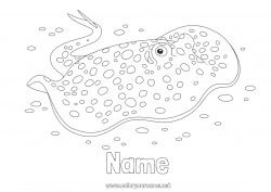 Free coloring Summer Sea Animal Fish Stingray Marine or aquatic animals