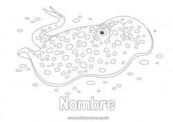 Colorear gratis Verano Mar Animales Pescado Mantarraya Animales marinos o acuáticos