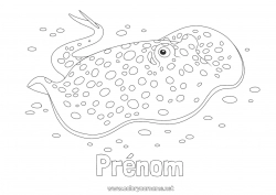 Coloriage gratuit Été Mer Animal Poisson Raie Animaux marins ou aquatique