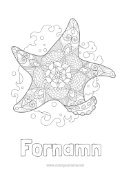 Gratis färgläggning Mandala Sommar Hav Djur Zentangle Sjöstjärna Marina djur eller vattenlevande djur