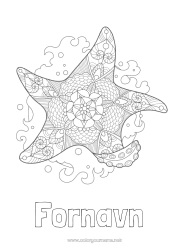 Gratis farvelægning Mandala Sommer Hav Dyr Zentangle Søstjerne Havdyr eller vandlevende dyr