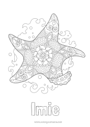 Rysunek za darmo Mandala Lato Morze Zwierzę Zentangle Gwiazda morska Zwierzęta morskie lub wodne