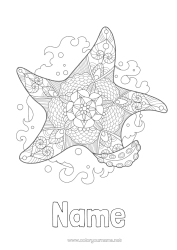 Free colouring Mandala Summer Sea Animal Zentangle Starfish Marine or aquatic animals