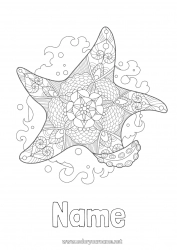 Free drawing Mandala Summer Sea Animal Zentangle Starfish Marine or aquatic animals