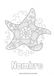 Colorear gratis Mandala Verano Mar Animales Zentangle Estrella de mar Animales marinos o acuáticos