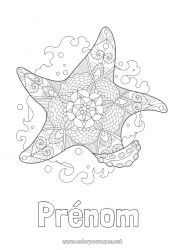 Coloriage gratuit Mandala Été Mer Animal Zentangle Étoile de mer Animaux marins ou aquatique