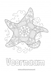 Gratis kleurplaat Mandala Zomer Zee Dier Zentangle Zeester Zeedieren