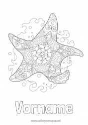 Kostenlose Zeichnung Mandala Sommer Meer Tier Zentangle Seestern Meeres- oder Wasserlebewesen