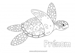Dessin gratuit Tortue Été Mer Animal Animaux marins ou aquatique Reptiles Tortue marine