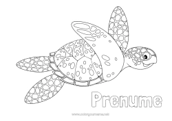 Pagină de colorat gratuită Broască țestoasă Vara Mare Animal Animale marine sau acvatice Reptile Broască țestoasă marină