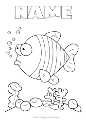 Free colouring Summer Sea Animal Fish Marine or aquatic animals