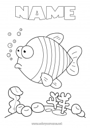 Free coloring Summer Sea Animal Fish Marine or aquatic animals