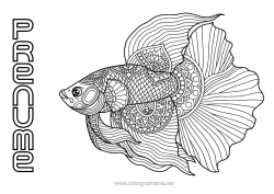 Pagină de colorat gratuită Liniștit și zen Mandala Animal Pește Desene de colorat complexe Anti-stres Animale marine sau acvatice