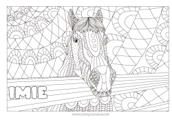 Kolorowanka za darmo Mandala Koń Zwierzę Zentangle Antystres Zwierzęta gospodarskie