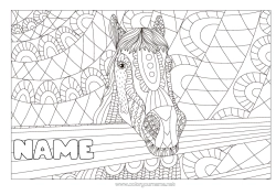 Free colouring Mandala Horse Animal Zentangle Anti-stress Farm animals