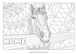 Free coloring Mandala Horse Animal Zentangle Antistress Farm animals