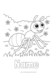 Colouring to customise Spring Animal Easy Colouring Pages Ant Insects