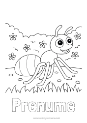 Desen liber de colorat Primăvară Animal Desene de colorat ușoare Furnică Insecte