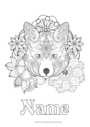 Free colouring Wolf Flowers Mandala Fox Animal Complex colouring pages Forest animals