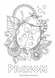 Coloriage gratuit Soleil Animal Égypte Coloriages complexes Insectes