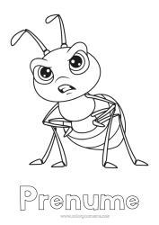 Pagină de colorat personalizată Animal Furnică Insecte De rău de spirit