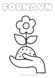 Gratis fargelegging Blomster økologi Enkle fargelegginger Jord Jordens dag