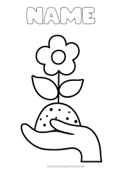 Free colouring Flowers Ecology Easy colouring pages Earth Earth Day