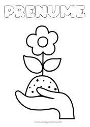 Desen liber de colorat Flori Ecologie Desene de colorat ușoare Pământ Ziua Pământului