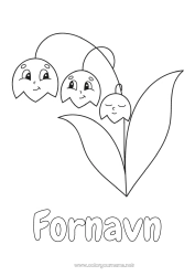 Gratis tegning Liljekonval. Nem farvelægning 1. maj
