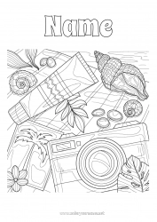 Free drawing Summer Beach Palm Sea Shell Complex coloring pages Marine or aquatic animals