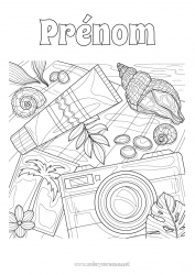 Coloriage gratuit Été Plage Palmier Coquillages Coloriages complexes Animaux marins ou aquatique