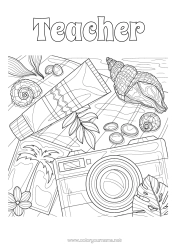 Free colouring Summer Beach Palm tree Shellfish Complex colouring pages Marine or aquatic animals