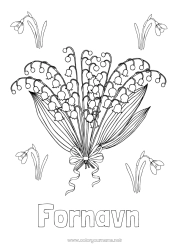 Gratis fargelegging Blomster Vår Liljekonvall 1. mai