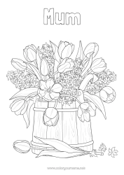 Free colouring Flowers Spring Tulip Hyacinth