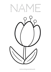 Free colouring Flowers Spring Tulip Easy colouring pages