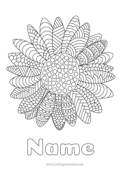 Free drawing Flowers Sunflower Complex coloring pages Zentangle