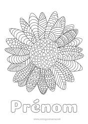 Coloriage à personnaliser Fleurs Tournesol Coloriages complexes Zentangle