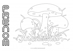 Coloriage gratuit Automne Champignon