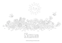 Free colouring Flowers Summer Spring Sun Insects Dragonfly