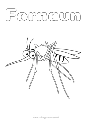 Gratis fargelegging Dyr Mellomliggende fargelegginger Insekter Mygg
