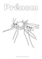 Coloriage gratuit Animal Coloriages intermédiaires Insectes Moustique