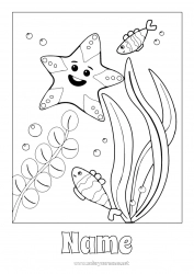 Free coloring Sea Easy coloring pages Starfish Marine or aquatic animals