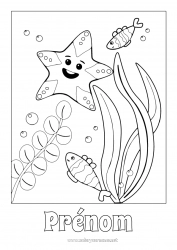 Coloriage gratuit Mer Coloriages faciles Étoile de mer Animaux marins ou aquatique