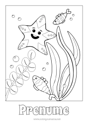 Pagină de colorat gratuită Mare Animal Desene de colorat ușoare Stea de mare Animale marine sau acvatice