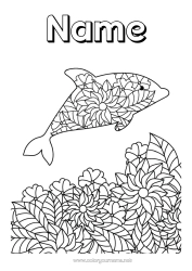 Free colouring Flowers Mandala Animal Dolphin Intermediate colouring sheets Marine or aquatic animals