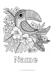 Free coloring Flowers Toucan Complex coloring pages Flying birds and mammals Hibiscus